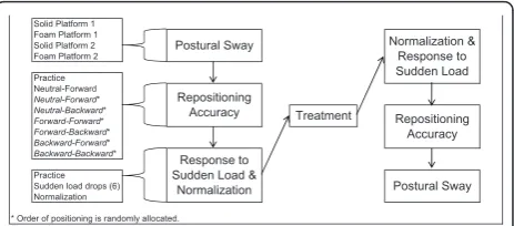 Figure 2 Detailed order of the sensorimotor functionprocedures.