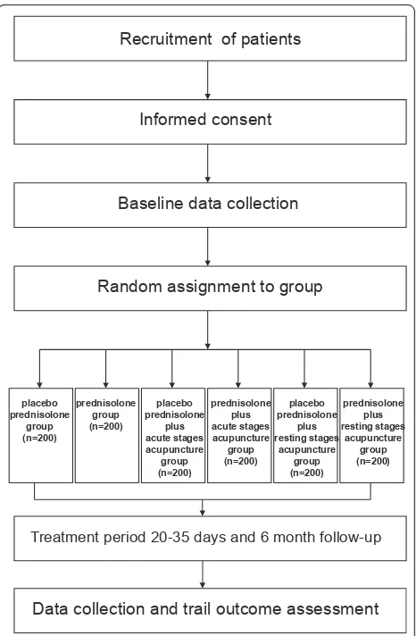 Figure 1 Flow chart of the trial, describing the selection,randomization and follow-up process.