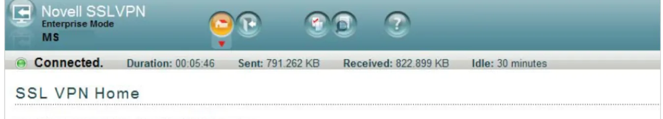 Figure 5-1   SSL VPN Home Page