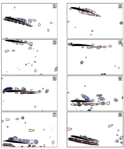 Fig. 6. Instantaneous vorticity patterns for Category E.