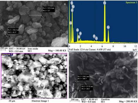 Figure 5. SEM Micrograph and EDX spectra showing fairly spherical particles of iron oxide and needle-like goethite particles