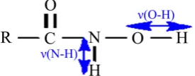 Figure 1. Vibration descriptors of the hydroxamic acids used ν(O-H) and ν(N-H). 