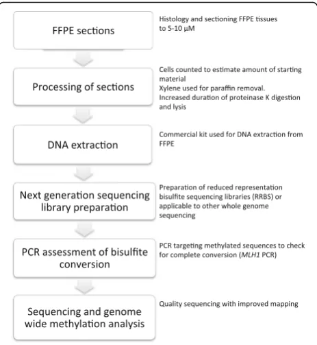 Fig. 1 Diagram summarizing the workflow of experiments and keypoints for genome-wide DNA methylation analysis using FFPE samples