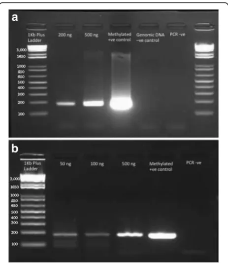 Fig. 4 MLH1 PCR to test efficiency of bisulfite conversion on FFPEderived DNA. a) MLH1 PCR of FFPE-derived bisulfite-treated DNA.Lane 1: 1Kb + ladder, Lane 2: 200 ng input DNA, Lane 3: 500 nginput DNA, Lane 4: Zymo methylated control DNA, Lane 5:unconverte
