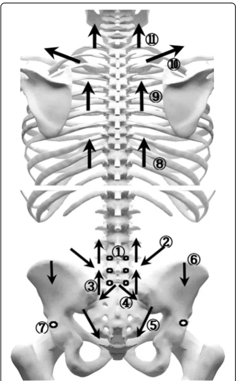 Fig. 4 Treatment sites for thread-embedding acupuncture in theabdominal area of the human body