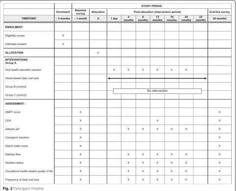 Fig. 2 Participant timeline