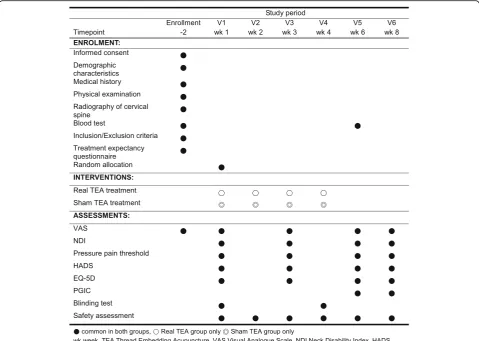 Fig. 2 Schedule for the treatment and outcome measurements