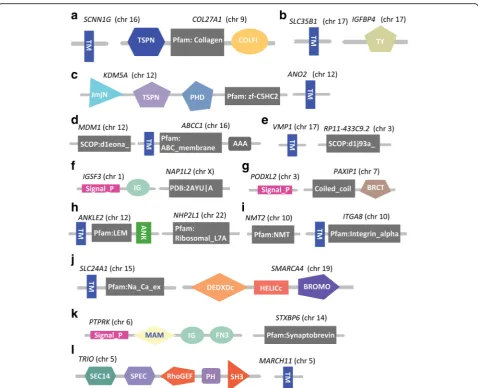 Fig. 12 Structure of in-frame gene-fusion mutations resulting in gain of signaling protein domains (trans-membrane and/or signal peptide domains) fromanother participating gene