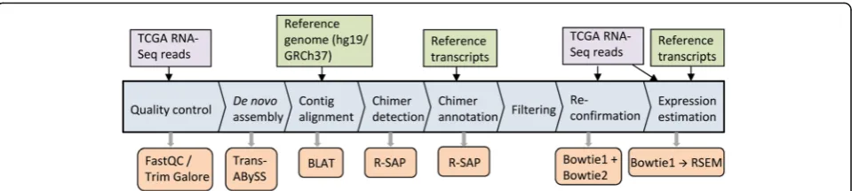Fig. 1 Computational workflow for chimeric transcript discovery. The central blue blocks show the workflow, orange boxes represent the toolsand programs integrated with the workflow, purple boxes represent RNA-Seq reads and green boxes represent datasets f