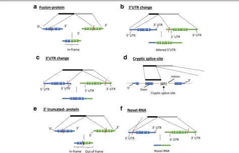 Fig. 9 Structure based functional classification of fusion transcripts. Fusion transcripts are represented by black and grey boxes; referencetranscripts are represented by blue and green boxes where thick boxes represent exons, gaps represent introns and t