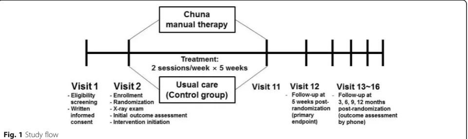 Fig. 1 Study flow