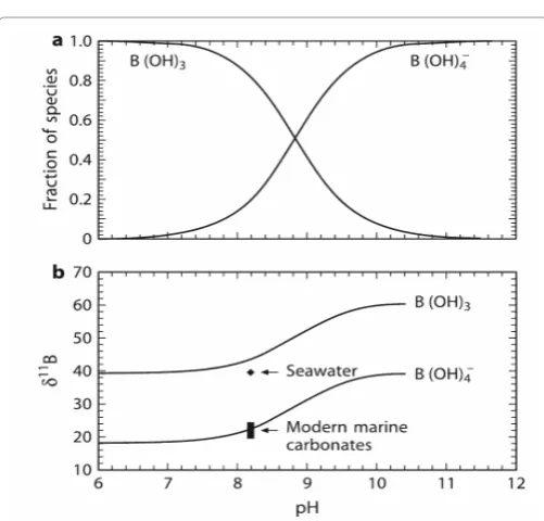 Figure 14: The relative abundances of B(OH)3 and B(OH)4– in water and theirisotopic composition as a function of water pH