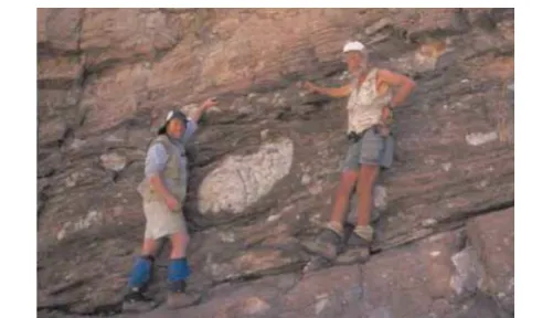 Figure 9: A glacial erratic found by Daniel P. Schrag and Paul F. Hoffmann in Namibia, probably from the Sturtian glaciation