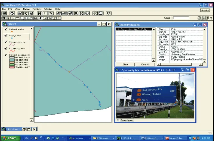 Figure 5. Geometric and identification Fields-Bridge. 