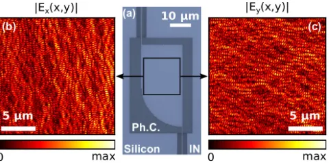 FIG. 2. False-color map of the measured phase of Esingularities are represented (circles) with their topologicalcharge: +1 (positive) or -1 (negative)