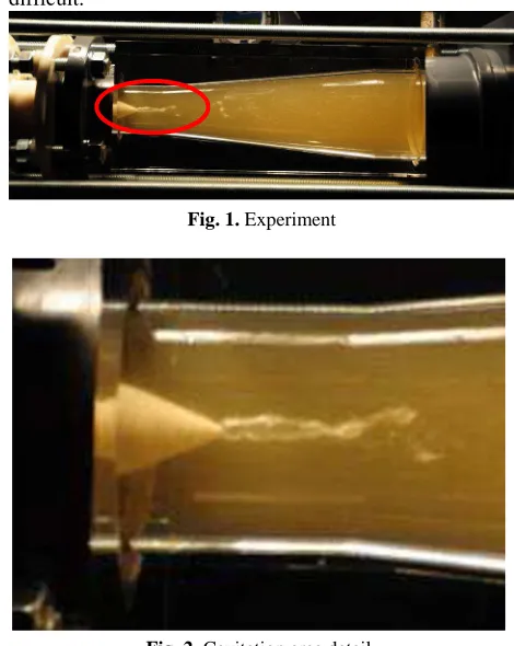 Fig. 2. Cavitation area detail 