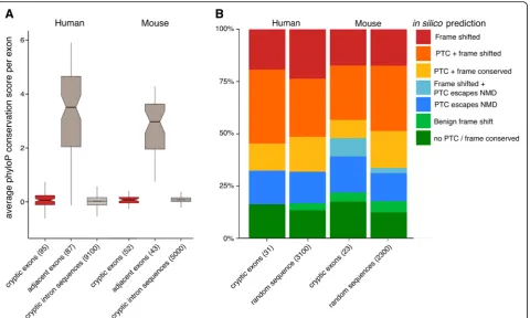 Fig. 4 Conservation and premature termination codon analysis.PTCs to create a protein of novel sequence (cassette exon (of novel sequence (( a Per exon average PhyloP conservation scores in cryptic exons, adjacent exonswithin the same set of genes (when av