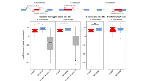 Fig. 6 Scoring cryptic splice sites against canonical splice sites. Cassette-like cryptic exons have 5′ and 3′ splice sites that are recognised by the spliceosomeunder TDP-43 depletion