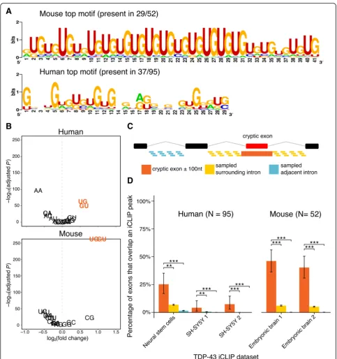 Fig. 2 Evidence of TDP-43 binding cryptic exons.sequence is presented. a Results of MEME motif search