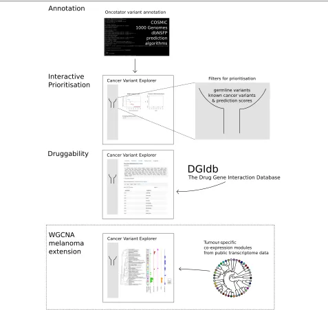 Fig. 2 Graphical abstract of CVE workflow. Variants of interest identified in high-throughput sequencing cancer studies are annotated using theOncotator Variant Annotation tool