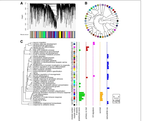 Fig. 3 Graphical summary of the module significance for the 5 gene significance measures as displayed innamed according to the most significant GO term in the enrichment analysis with less than 100 genes per term (to exclude uninformative,phylogram of the 