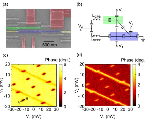FIG. 2. The superconducting double dot and Cooper pair box. (a) False colour electron micrograph
