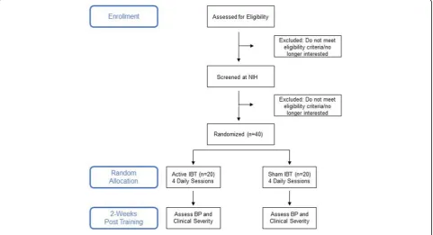 Fig. 1 Flow diagram of the Interpretation Bias Task randomized controlled trial (IBT RCT)