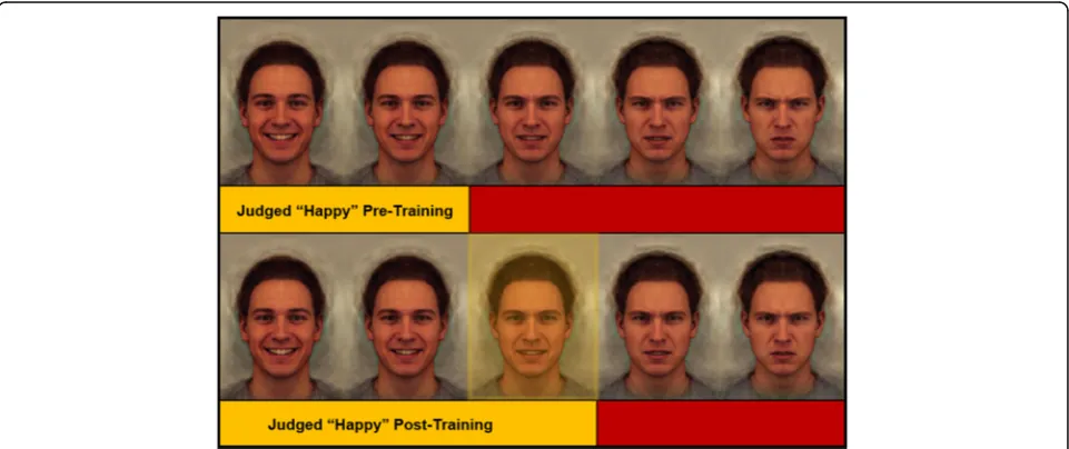 Fig. 2 Training is designed to shift pre-training balance point, thereby reducing an angry interpretation bias