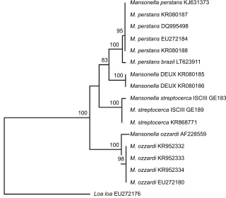 Figure 1 Neighbor-joining phylogenetic tree.when not submitted to the GenBank). A sequence of Notes: Tree compares the ITS1 partial sequences of human Mansonella spp