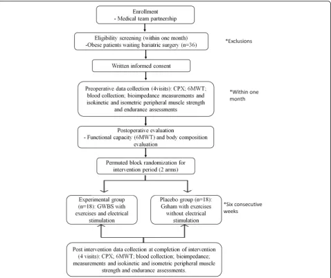 Fig. 2 Consolidated Standards of Reporting Trials (CONSORT) flow diagram of the study
