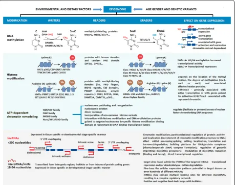 Fig. 1 Major epigenetics mechanisams acting in mammalian cells. Presented are the four epigenetic mechanisams and their major impact on cellulargene regulation
