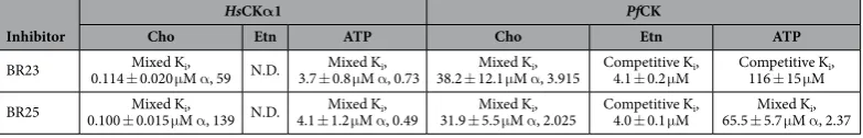 Table 2.  Modes of inhibition and Ki values for inhibition of recombinant HsCKα1, PfCK and PfEK by BR23 and BR25