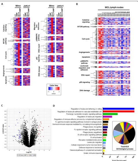 Fig. 3 OMP-52M51 significantly impedes DLL4-induced upregulation of numerous genes involved in lymphoid biology, lymphomagenesis anddisease progression mimicking the signature of NOTCH mutated MCL lymph nodes