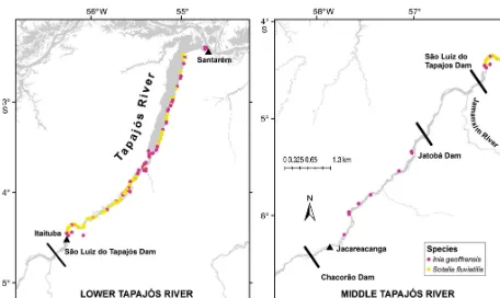 Fig. 2. Sightings of boto Inia geoffrensis (pink dots) and tucuxi Sotalia fluviatilis (yellow dots) along the Tapajós River, Brazil