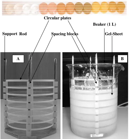 Figure 7. Parallel plates equipment for making uniform k-carrageenan gel disks. 