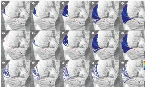 Figure 4. Effect of different random walk parameter settings; (a)–(e) different exponents for divergent ﬂow (1.0, 1.1, 1.2, 1.5 and 2.0);(f)–(j) different slope thresholds (15◦, 20◦, 30◦, 40◦ and 60◦); (k)–(o) different persistence factors (1.0, 1.5, 2.0, 