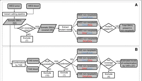 Fig. 2 Overall flow chart of the two-stage analysis strategy. a, de-novo mutation calling and initial assessment of neoplasm contamination byusing WES; b, targeted validation and ultra-deep sequencing to assess neoplasm contamination level in each adjacent non-neoplastic tissue.WES: whole exome sequencing; TAS: targeted amplicon sequencing; SNV: single nucleotide variant; VAF: variant allele fraction