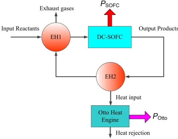 Fig. 1. (c) Schematic diagram of the heat and mass transfer process at large operating current 