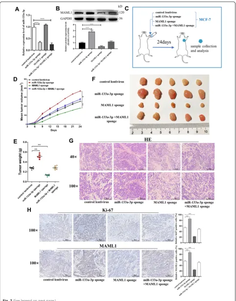 Fig. 7 (See legend on next page.)