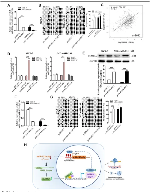 Fig. 8 (See legend on next page.)