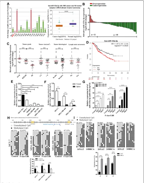 Fig. 1 (See legend on next page.)