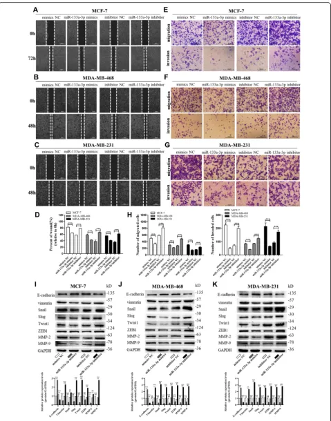 Fig. 2 (See legend on next page.)