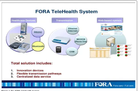 Figure 1 The FORA Telehealth System.