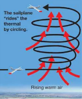 Figure 6.7:  A thermal is a rising  column of warm air. Gliding birds and  sailplanes “ride” thermals.