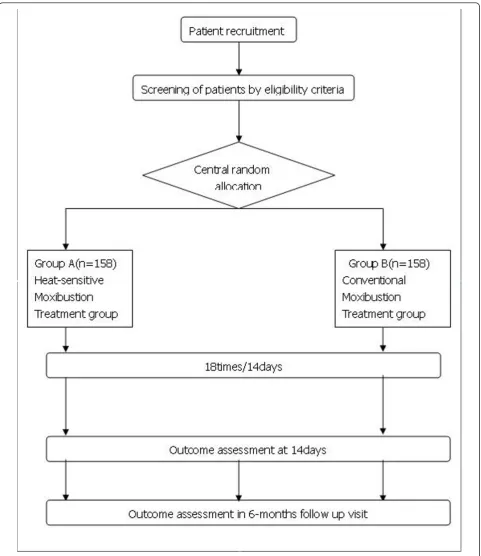 Figure 1 Test flow chart.