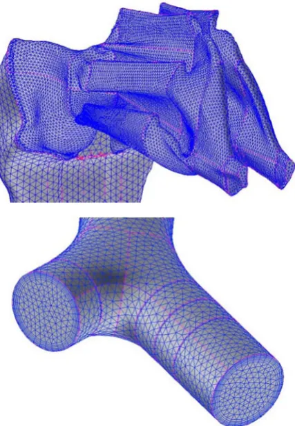 Fig 3. Detail of the mesh (nose and level 16th of the lung)