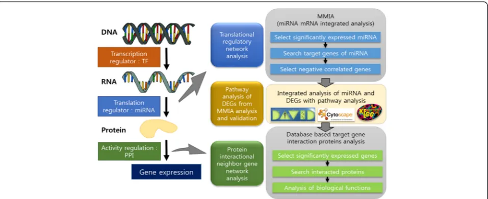 Fig. 1 Illustration of the workflow of the pipeline. Transcription factor (TF) gene has multiple functions to regulate transcription