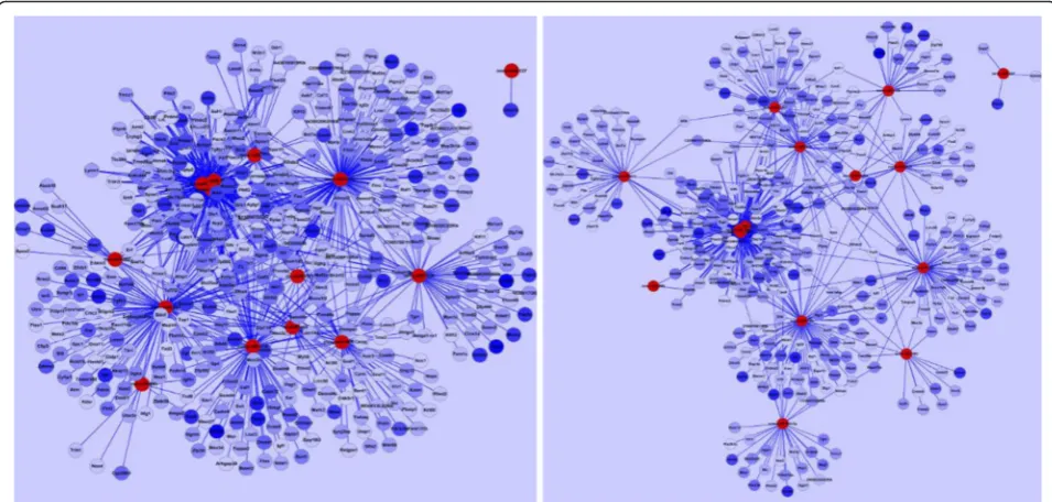 Fig. 3 Venn diagram generated by ClueGO. ClueGO analyzes KEGG ontology of selected down-regulated genes which are targeted by up-regulatedmiRNA