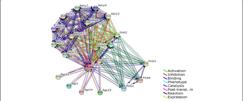 Fig. 4 Verification of alteredWT mice (KO mice. The gene expression level of Gnai1 was significantly lowerin the spinal cords of Gnai1 expression in Ews/Ewsr1 WT and Ews/Ewsr1 KO mice (n = 6) compared to EWSn = 6)