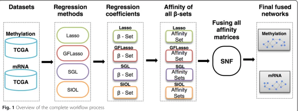 Fig. 1 Overview of the complete workflow process